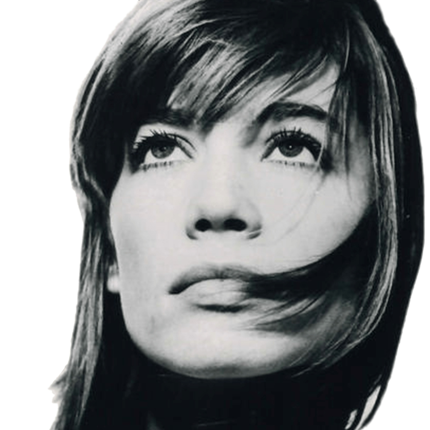 Françoise Hardy Closeup icons