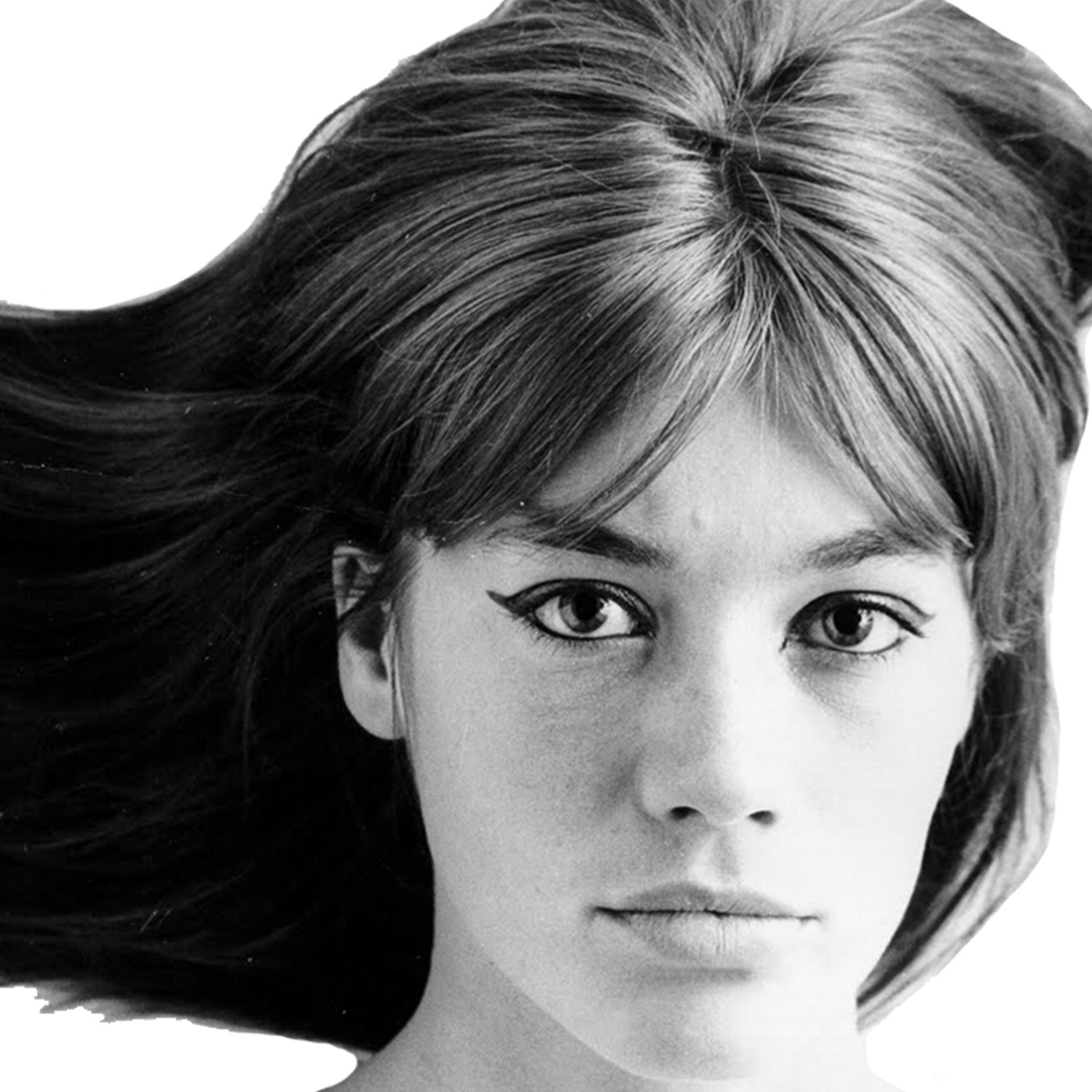 Françoise Hardy Long Hair icons