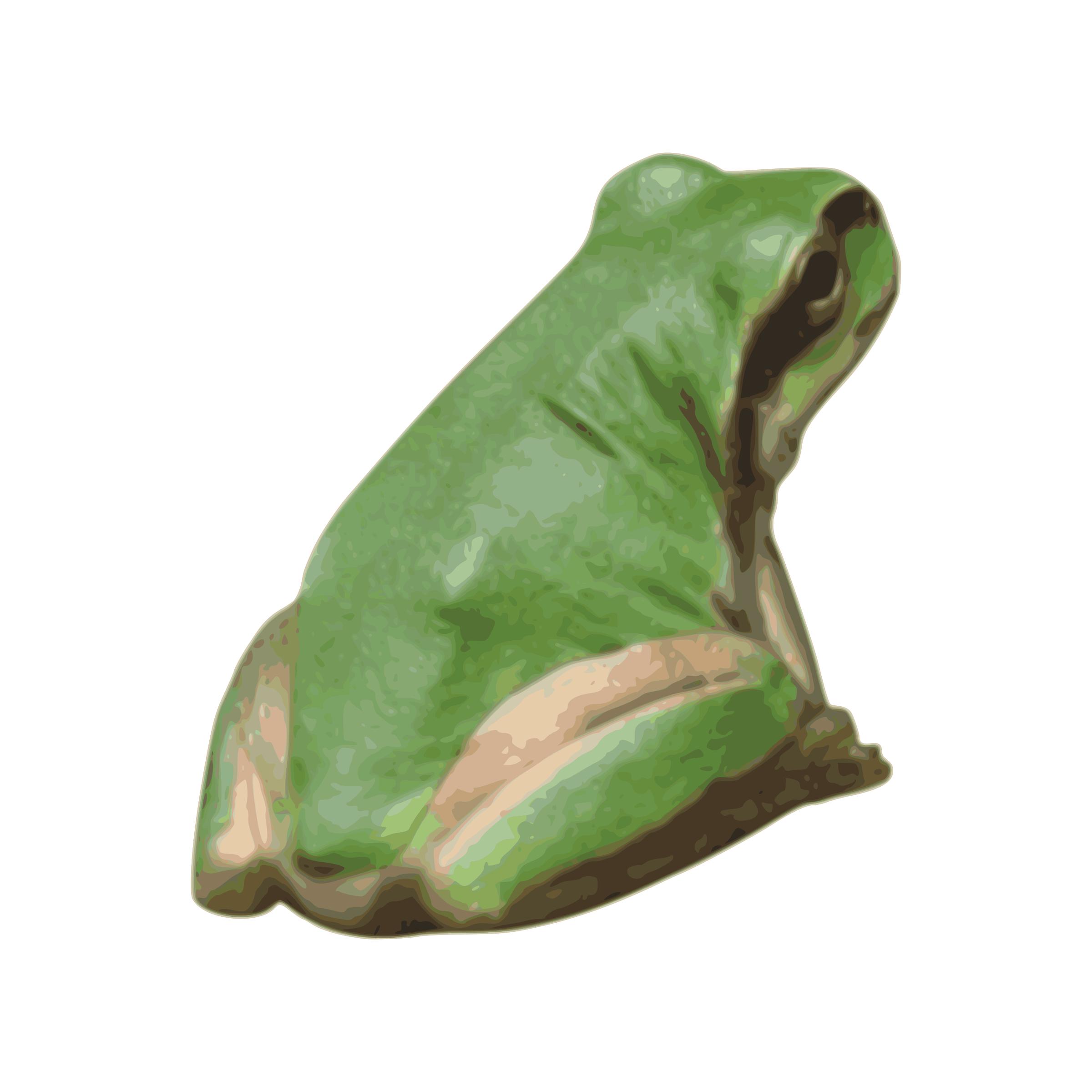 Frog 01 png