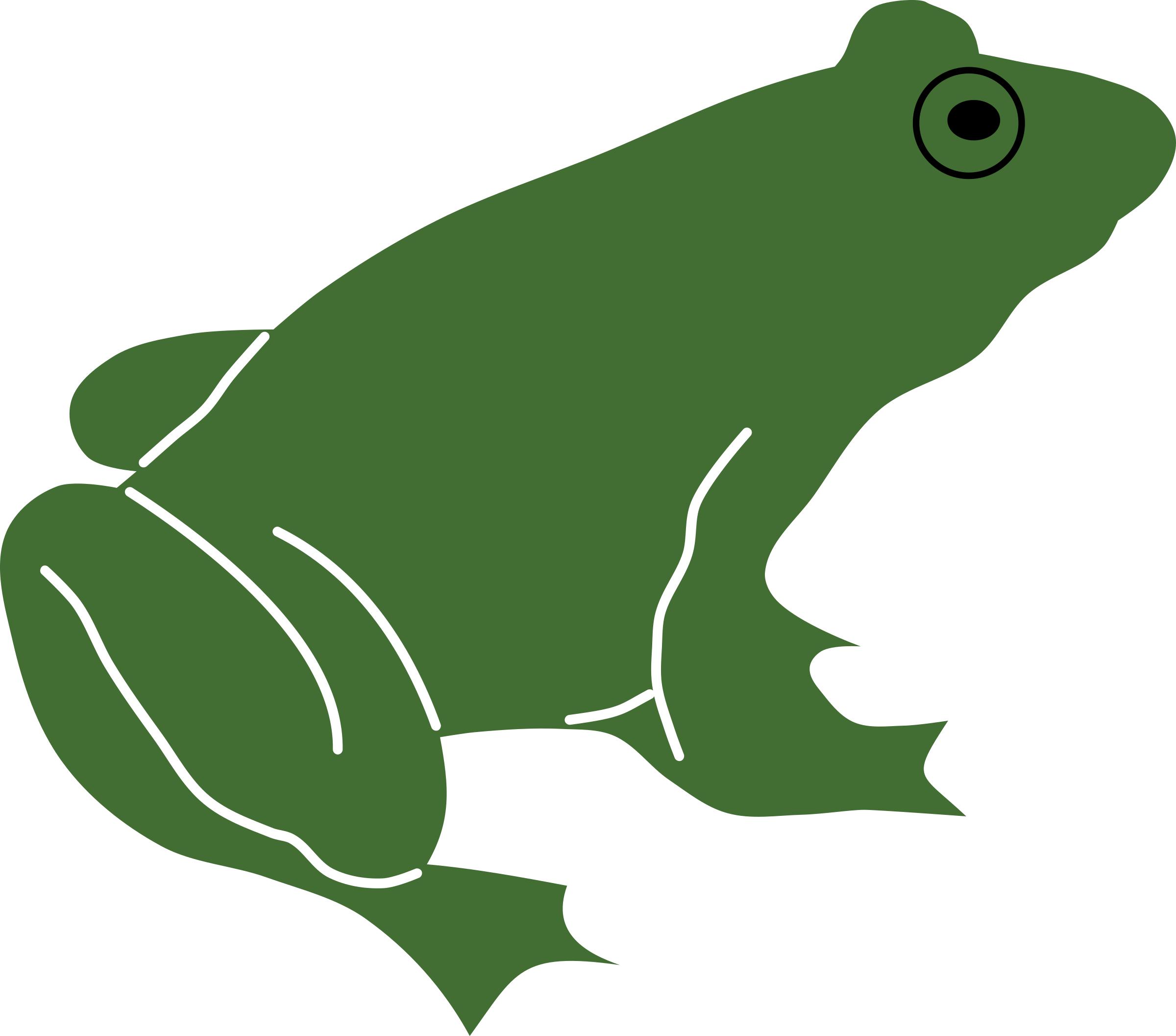 Frog by Rones png