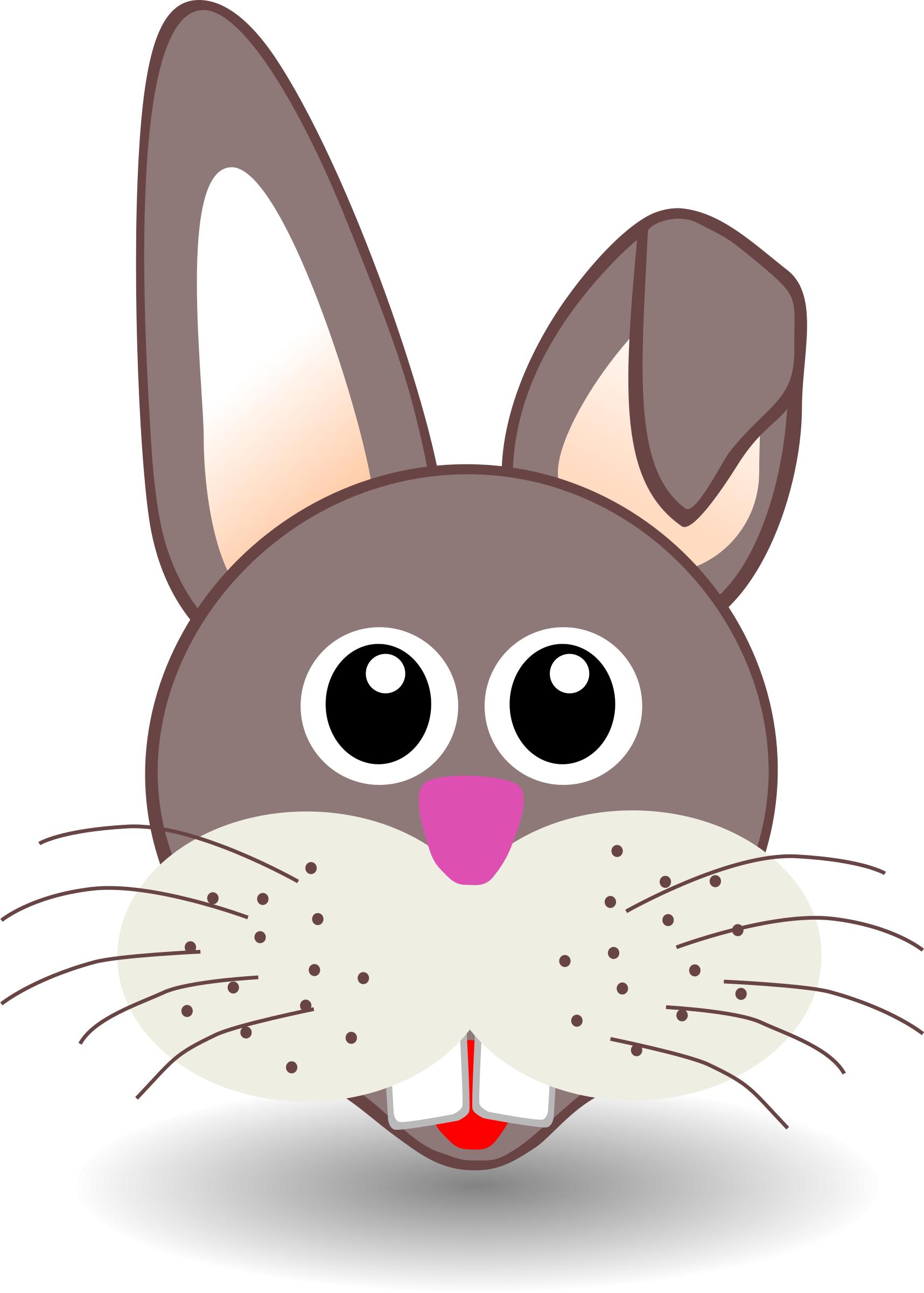funny bunny face png