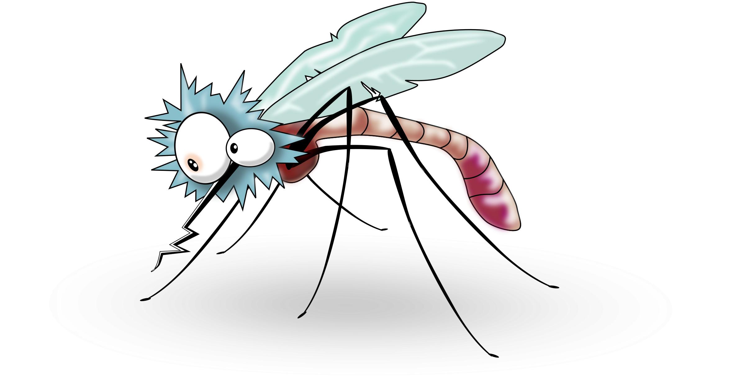 Funny Mosquito from side png