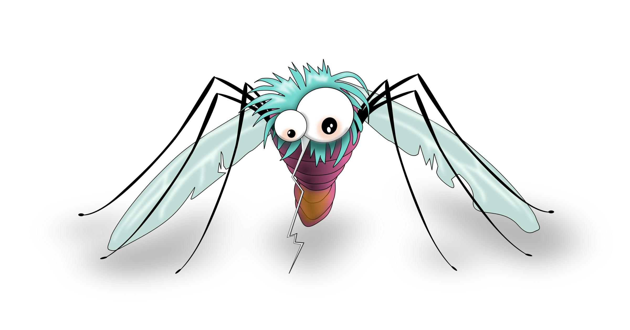 Funny Mosquito png