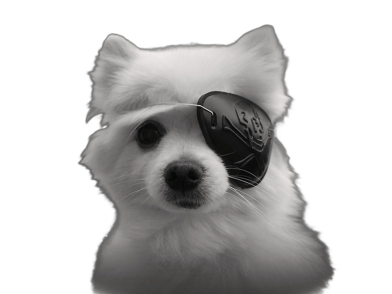 Gabe the Dog Eyepatch png icons