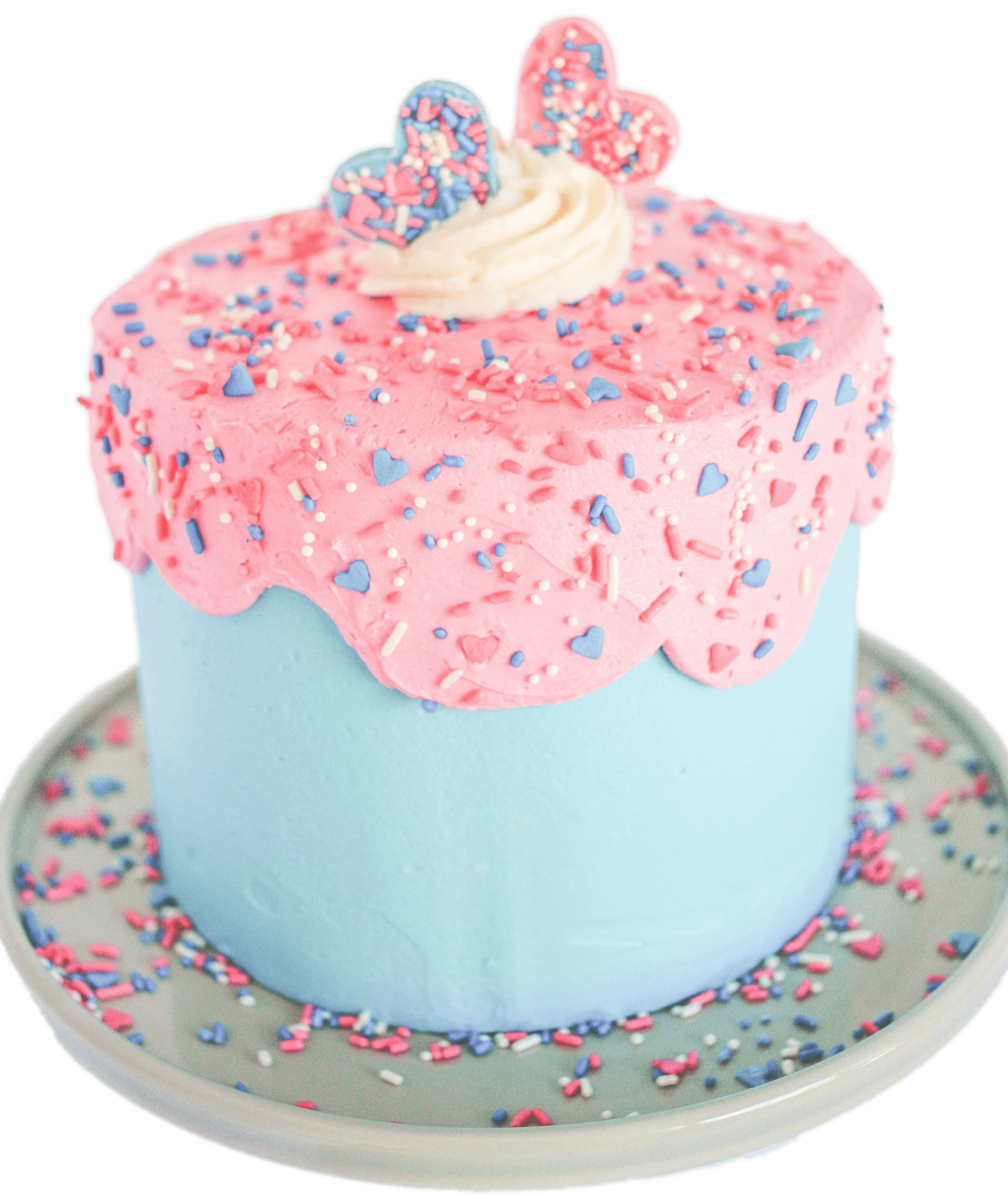 Gender Reveal Cake Sprinkles icons