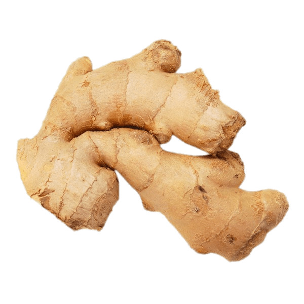 Ginger Root png icons