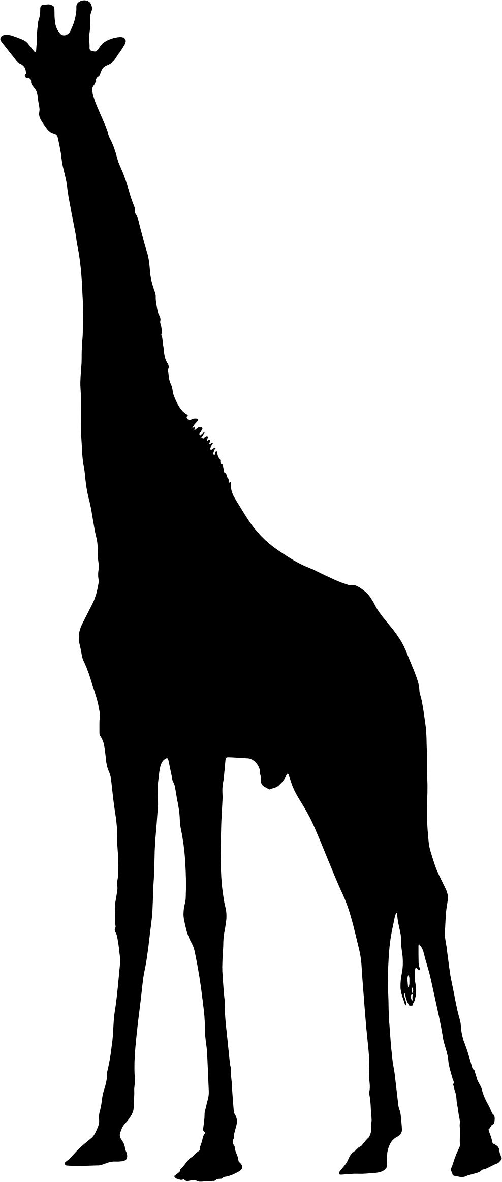 Giraffe Silhouette 2 PNG icons