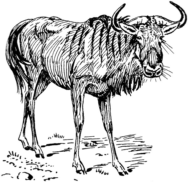 Gnu Drawing png icons