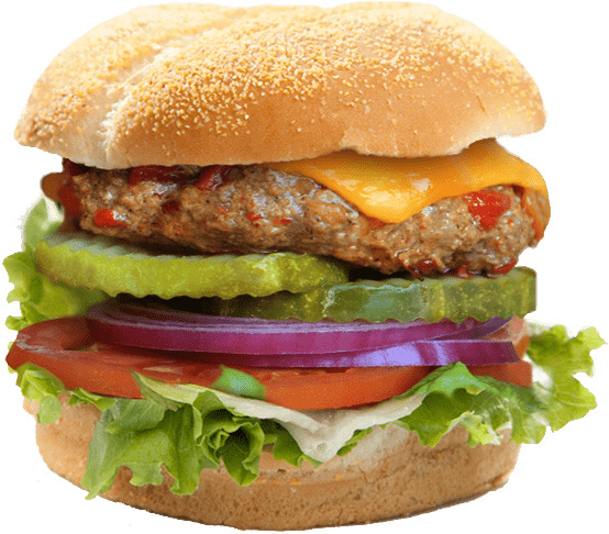 Gourmet Burger Close Up icons