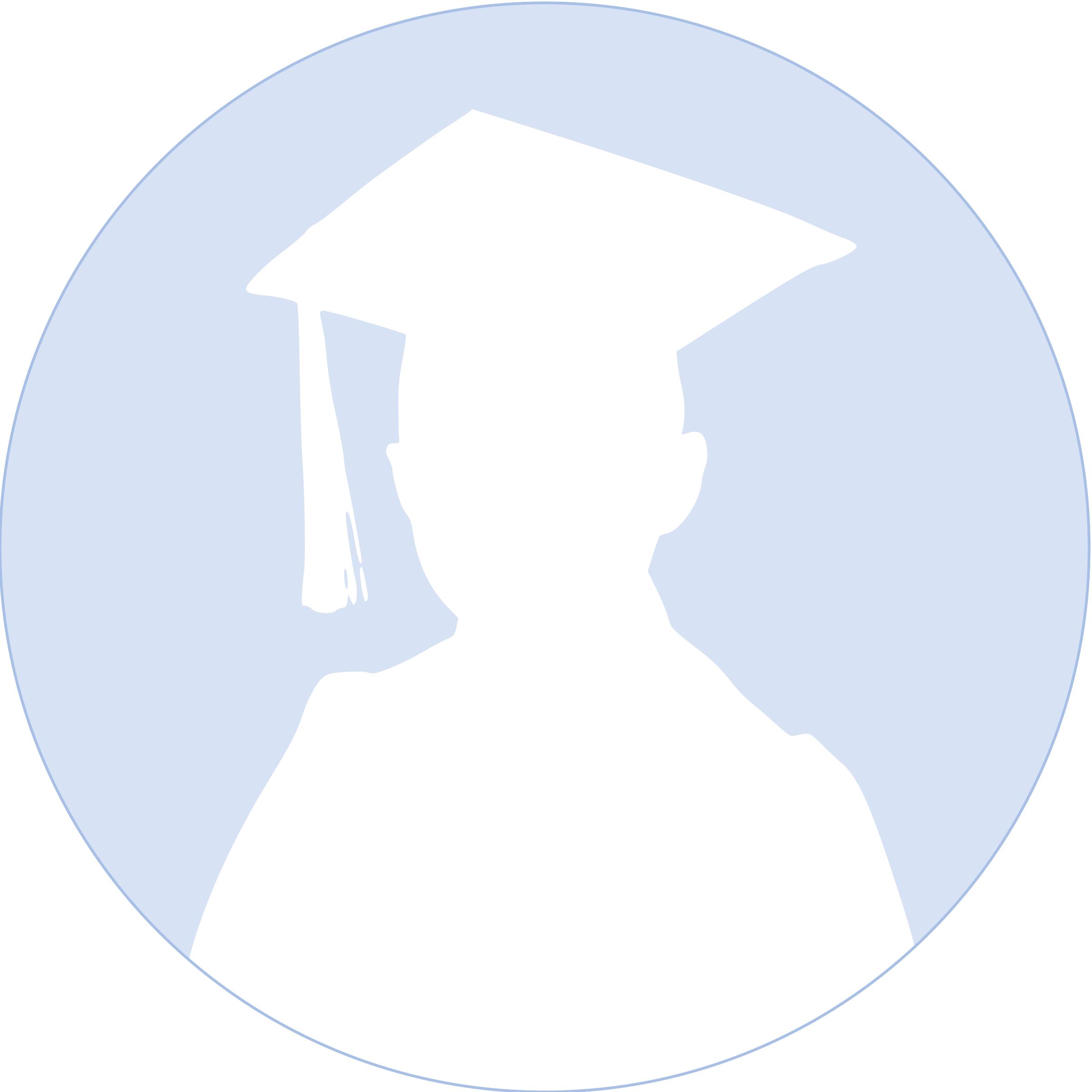 Graduation Boy Profile Circle Silhouette png