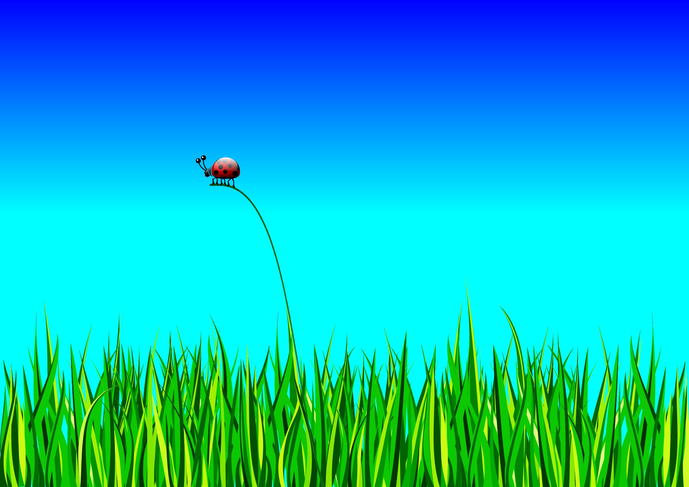 Grass with bug png
