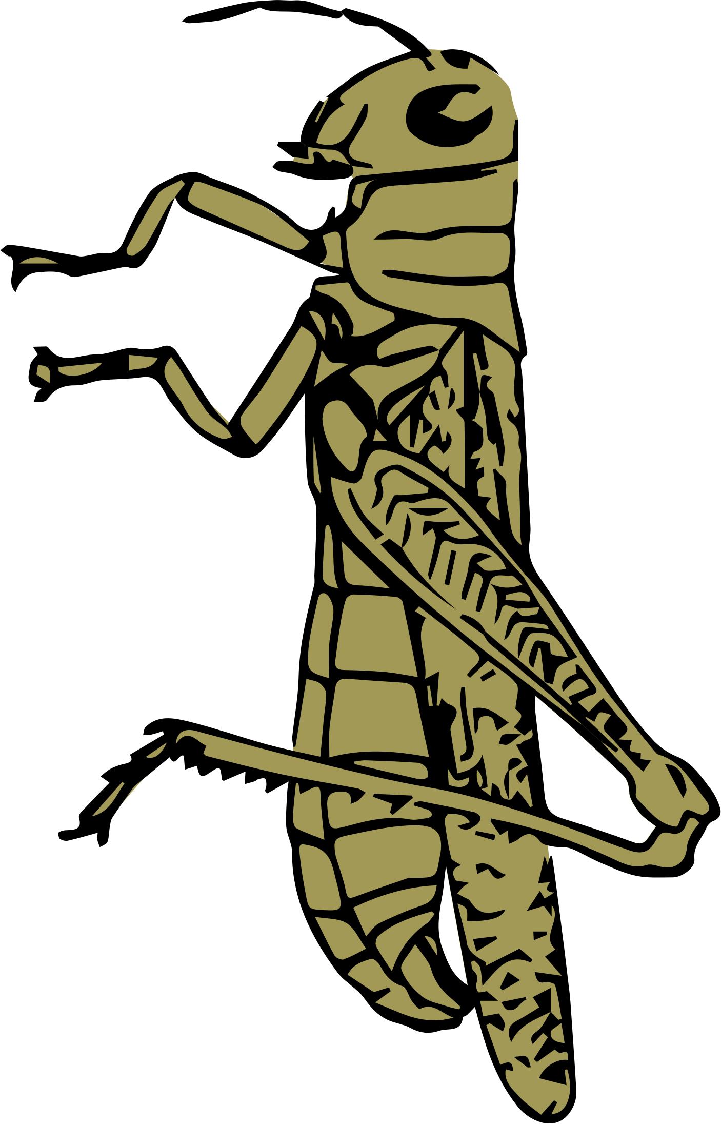 grasshopper color png