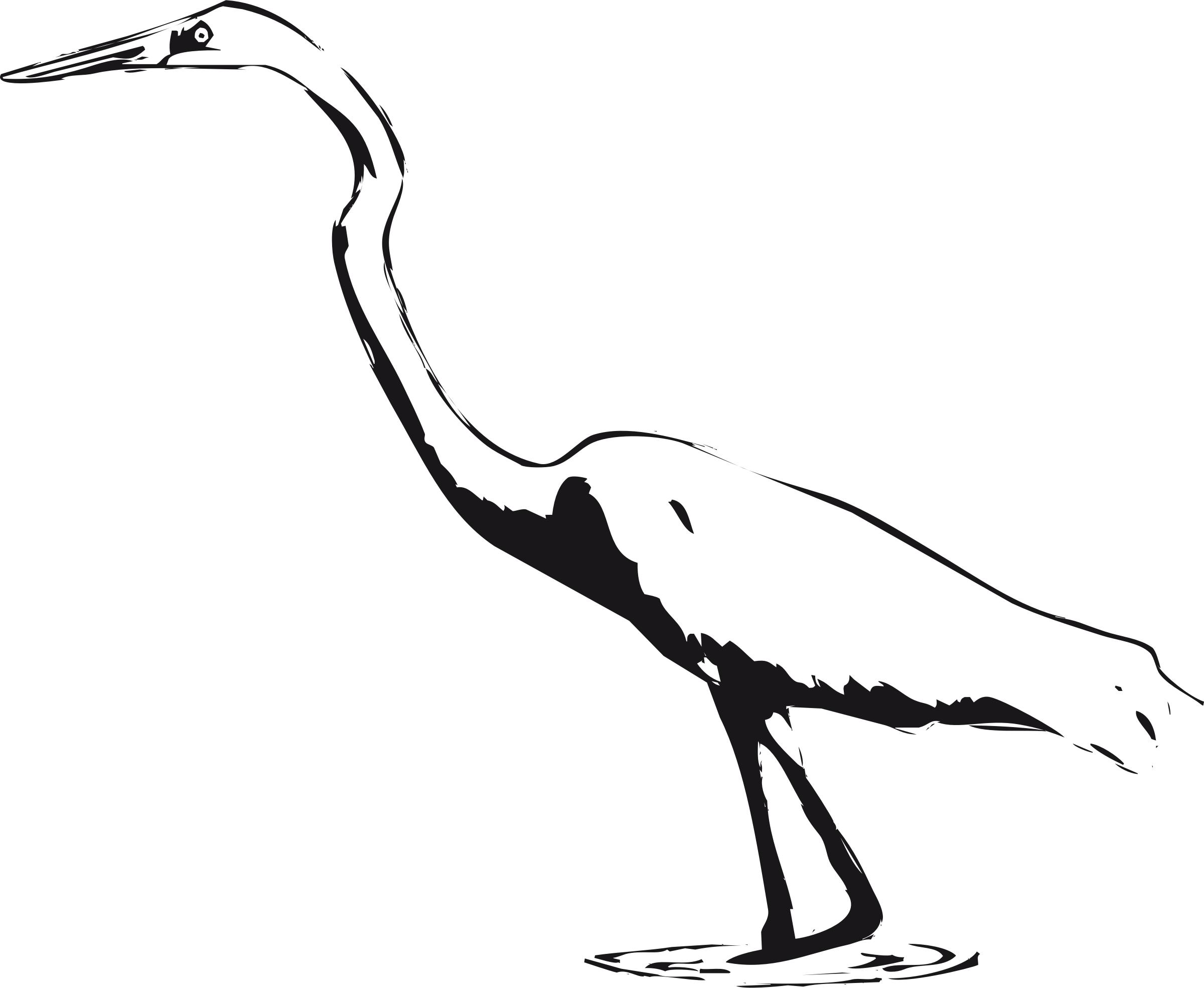 Great Egret png