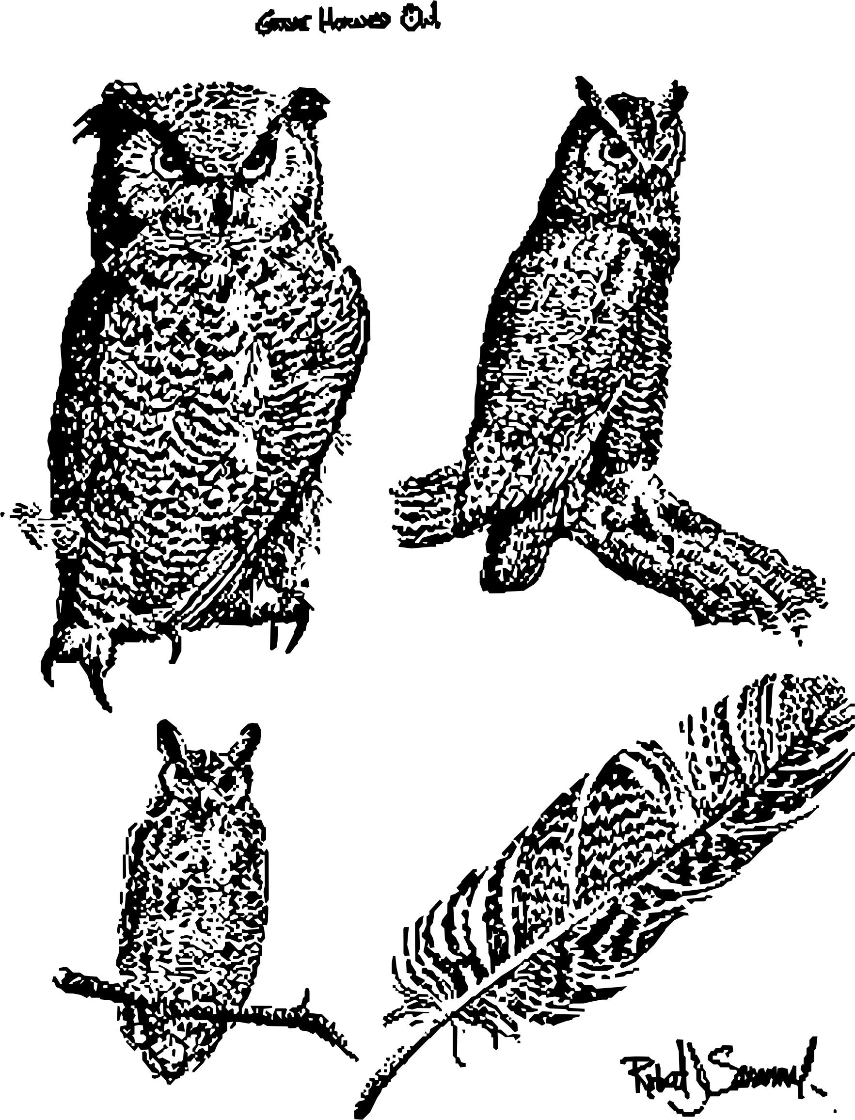 Great horned owls PNG icons