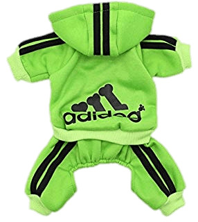 Green Adidog Dog Outfit png