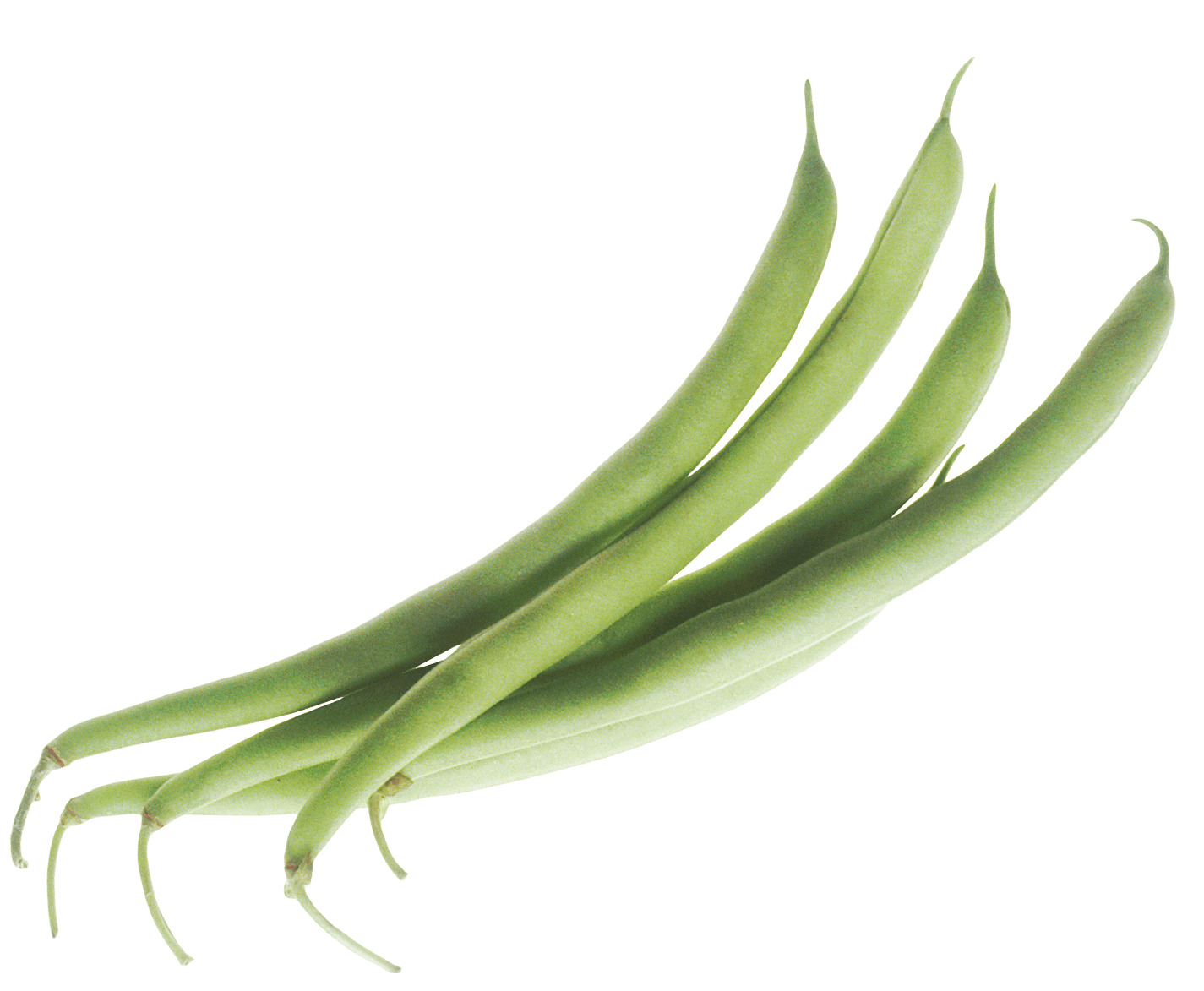 Green Beans PNG icons