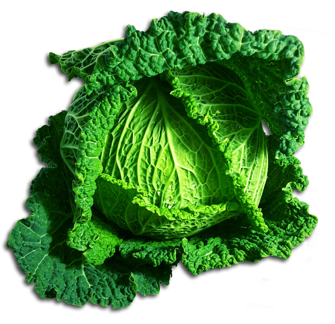 Green Cabbage icons