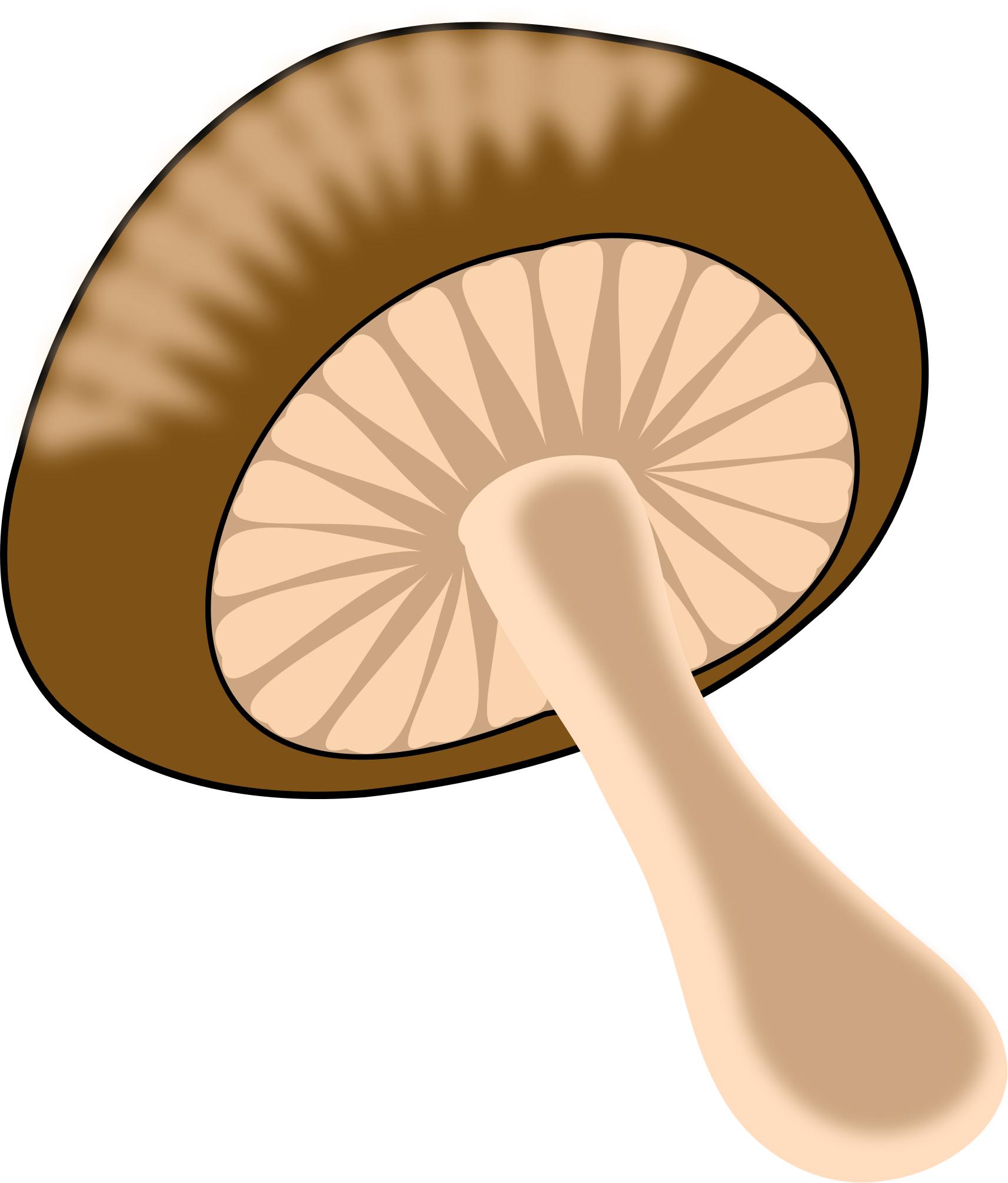 Green - orange mushroom png
