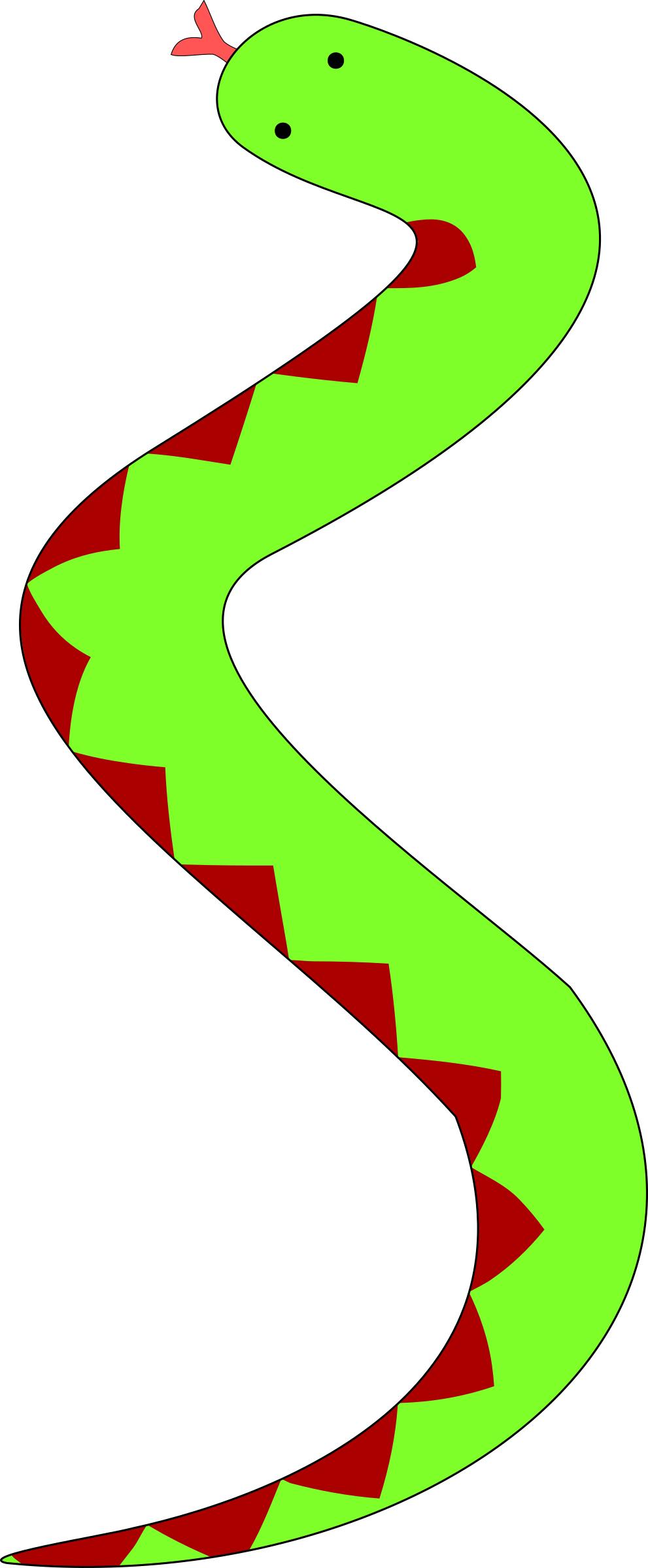 Green snake with red belly png