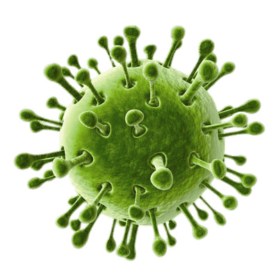 Green Virus With Tentacles png