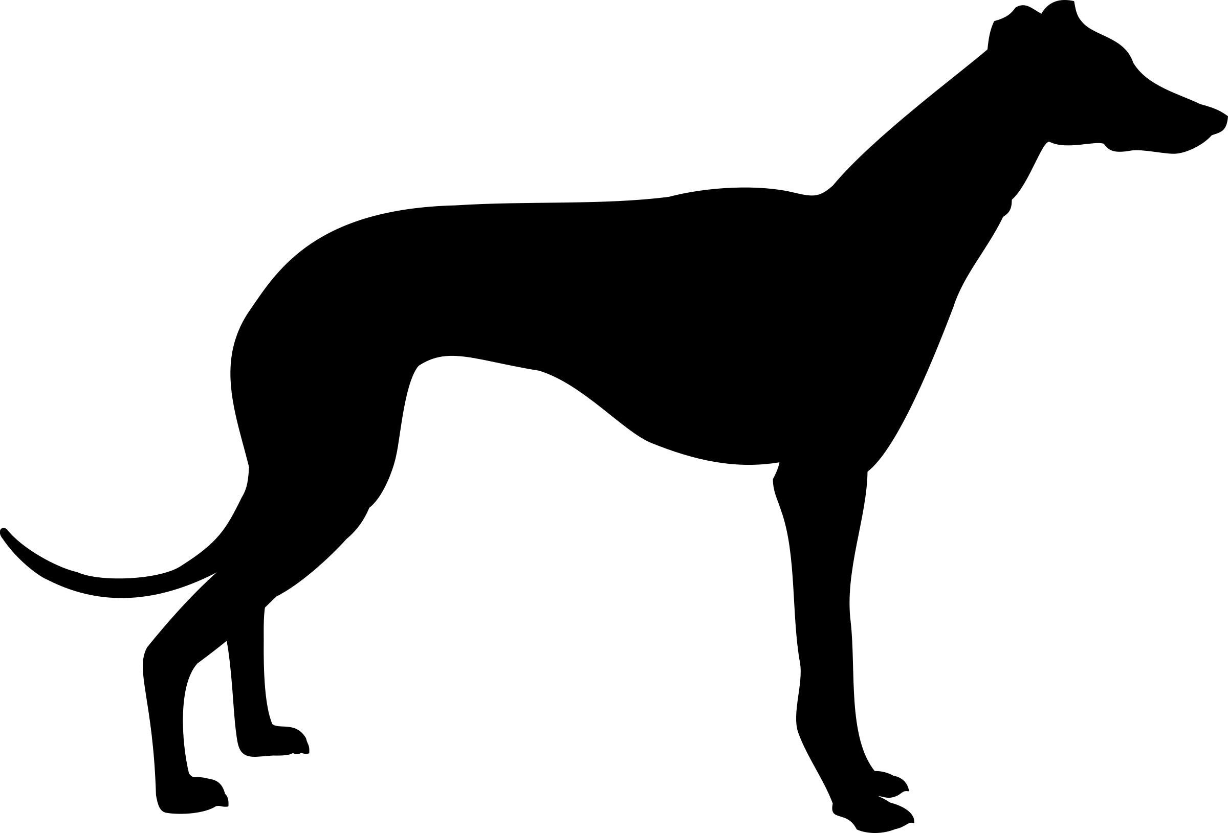 greyhound silhouette png