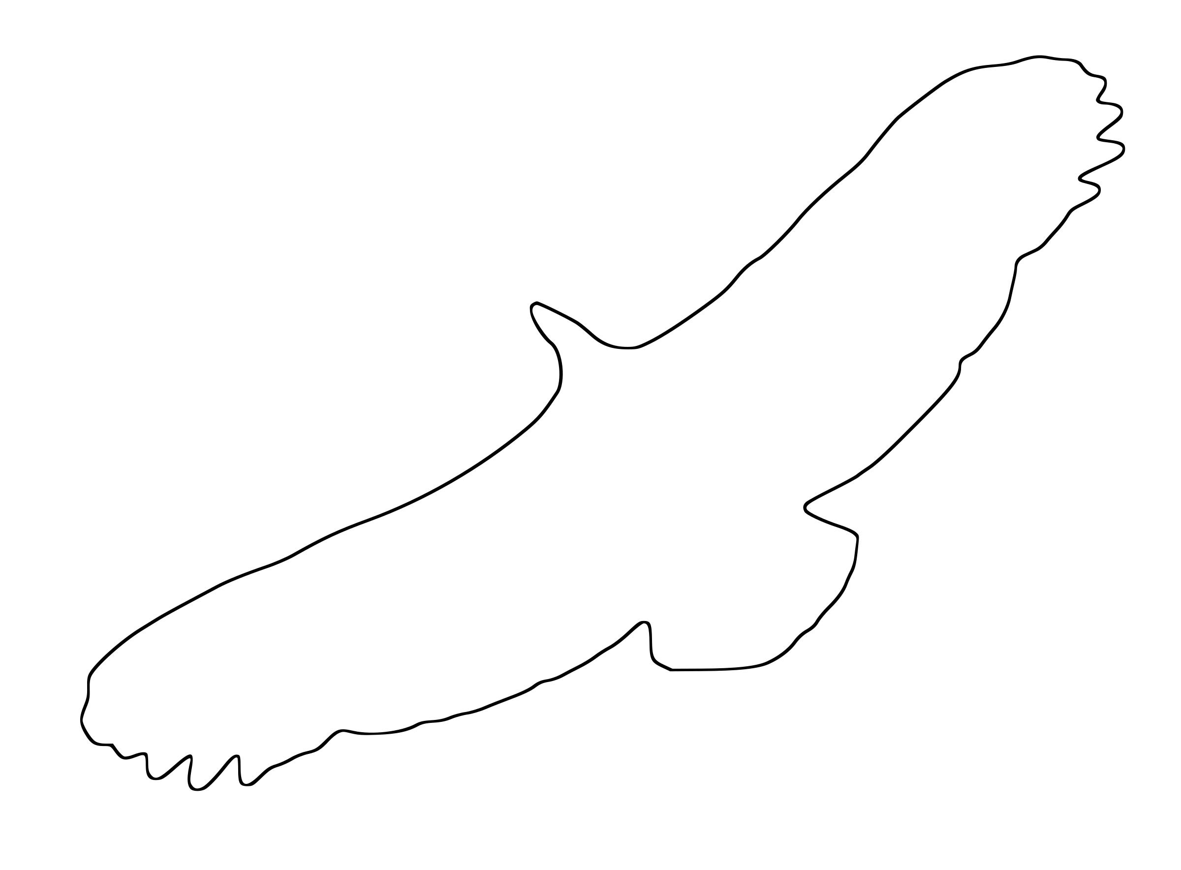 Griffon Vulture Outline png