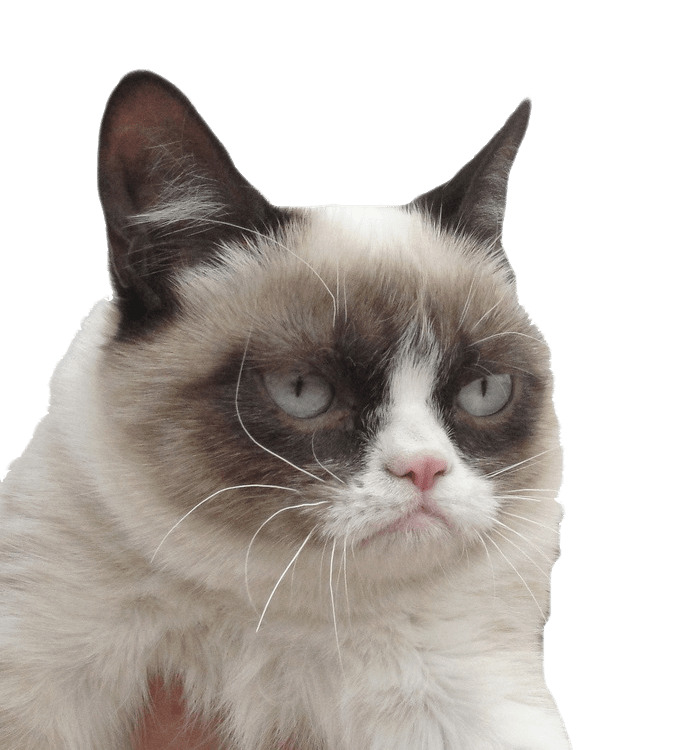 Grumpy Cat I Dare You icons