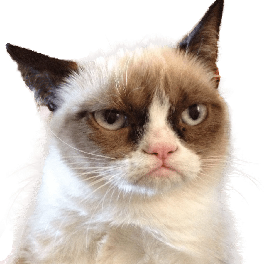 Grumpy Cat Looking Right icons