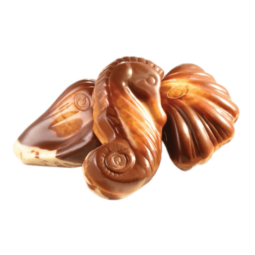 Guylian Chocolate Seashells png icons