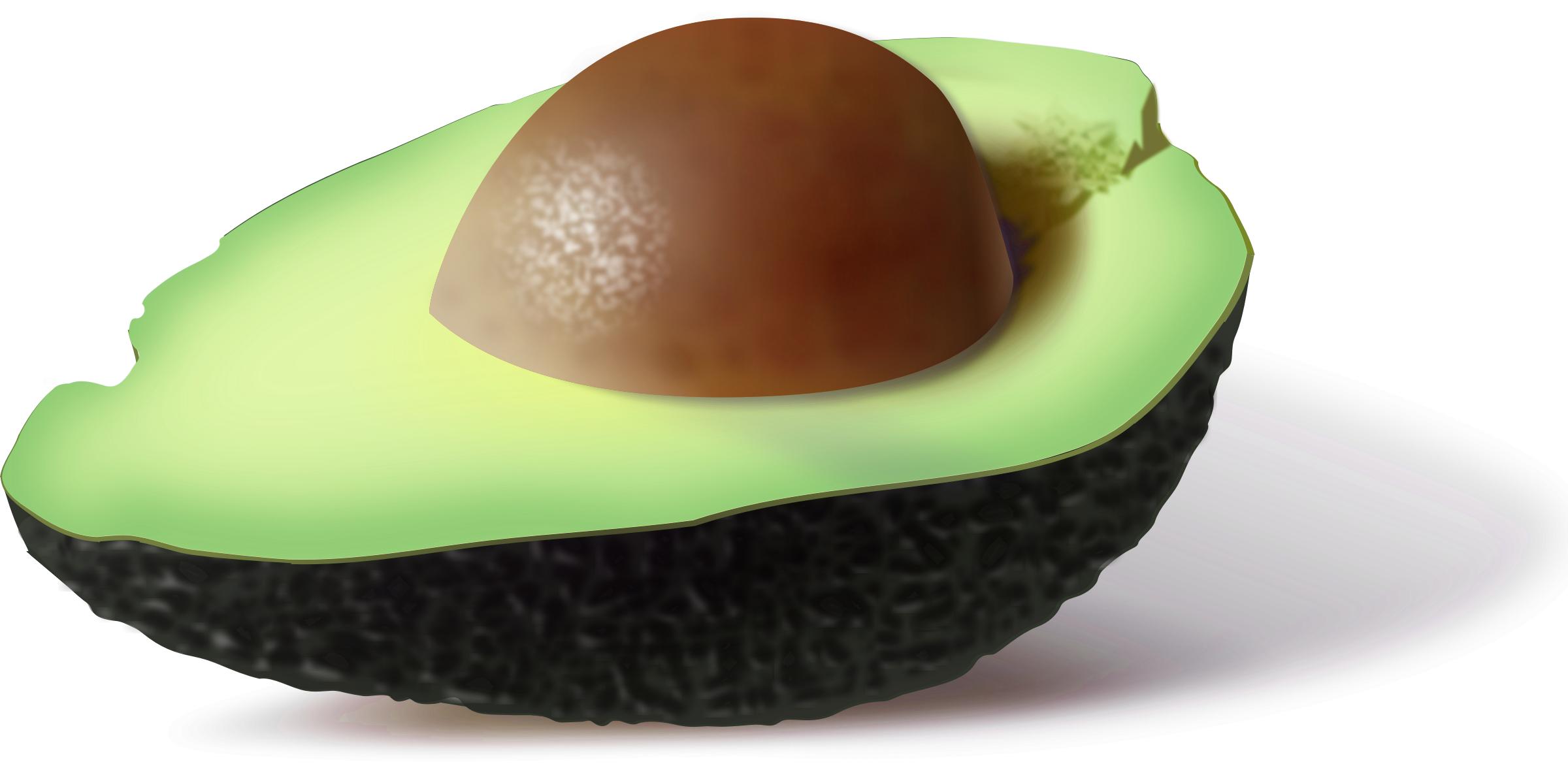 Half of an Avocado PNG icons