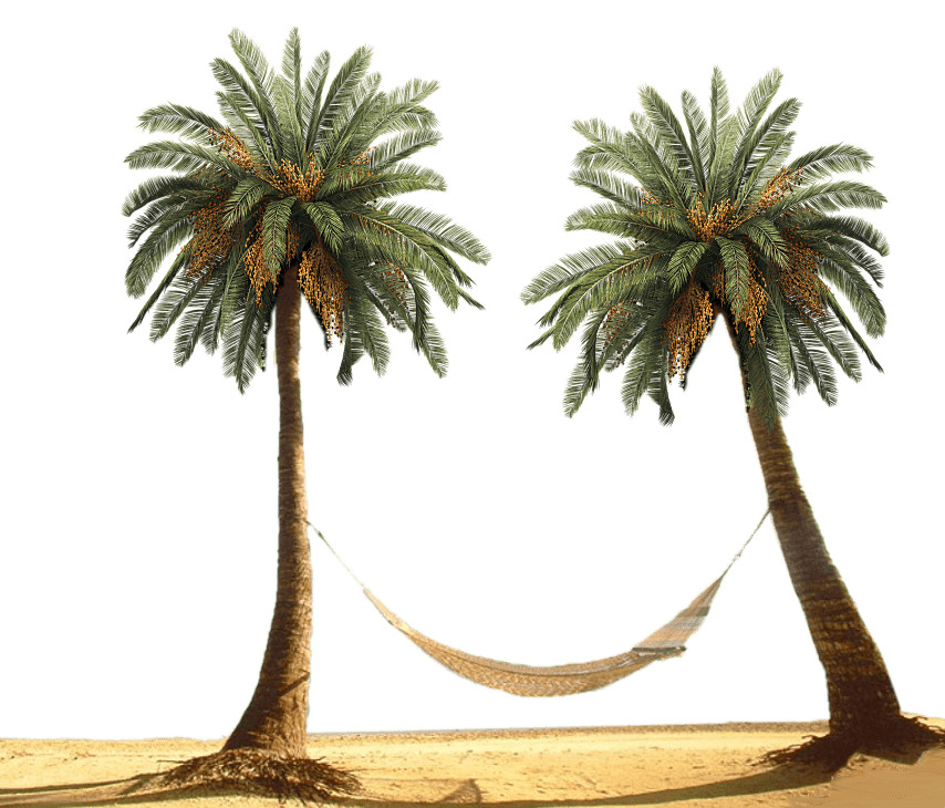 Hammock Between Palm Trees icons