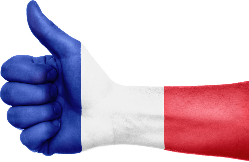 Hand France Flag icons
