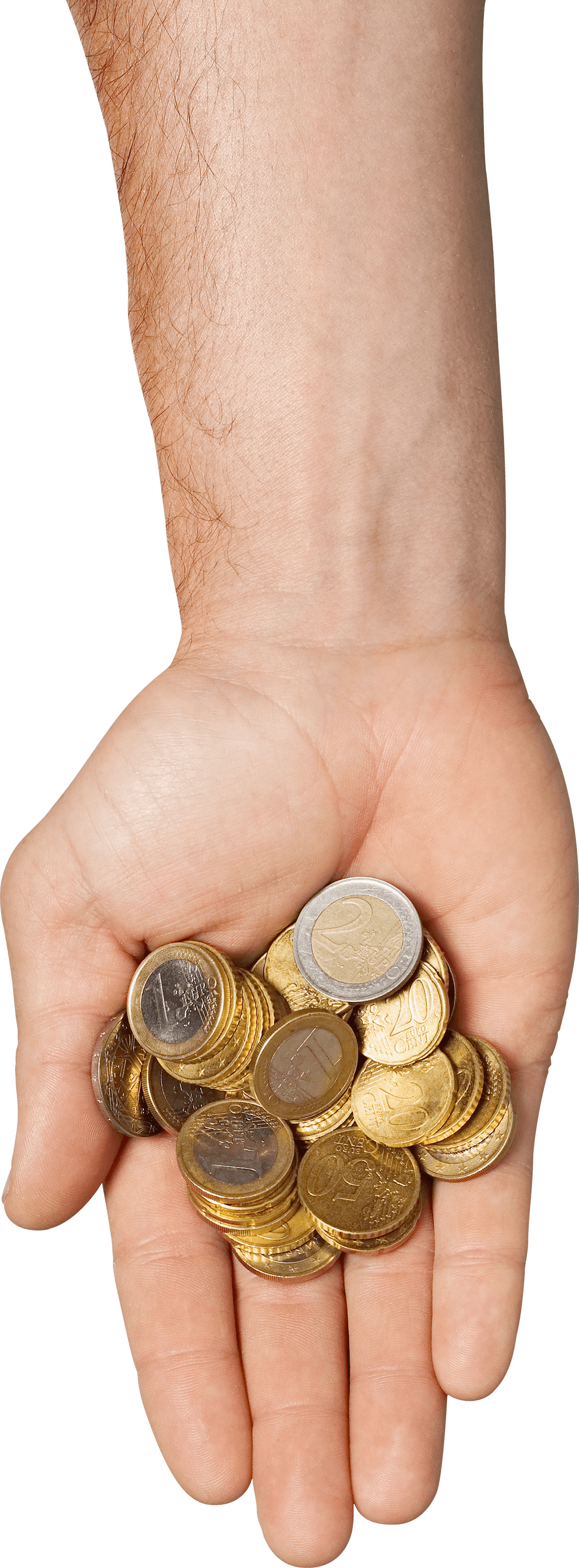 Hand Holding Coins png icons