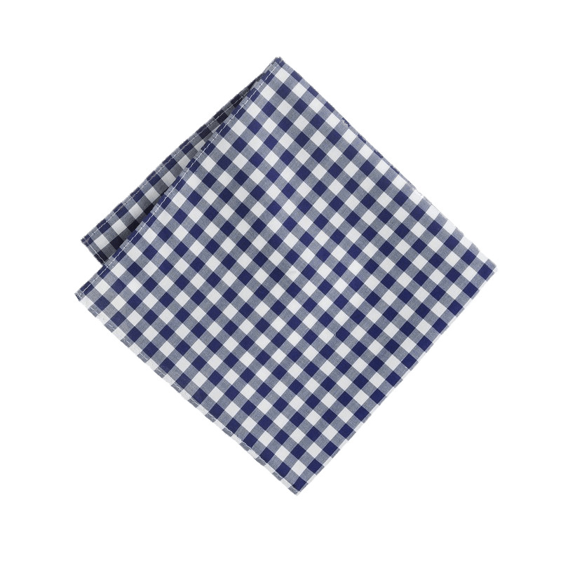 Handkerchief Blue and White Squares png