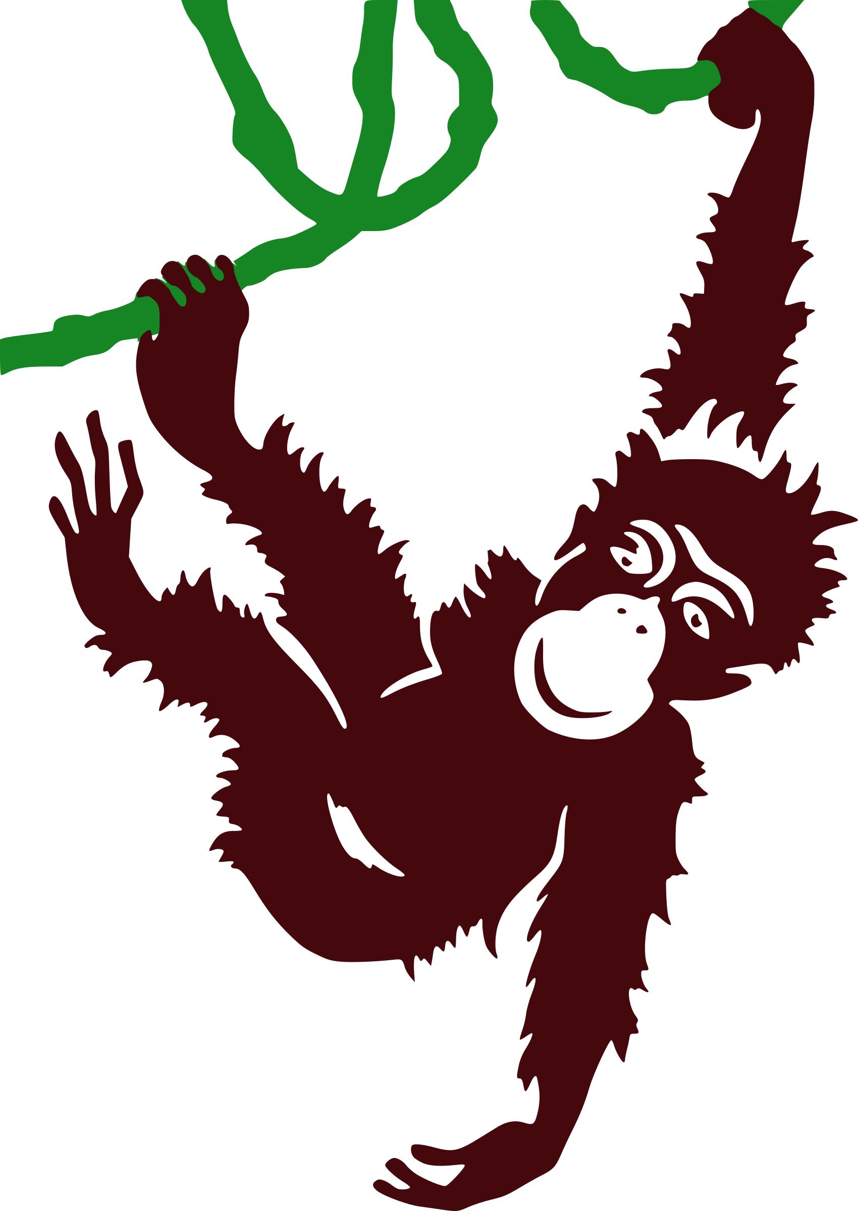Hanging Monkey png