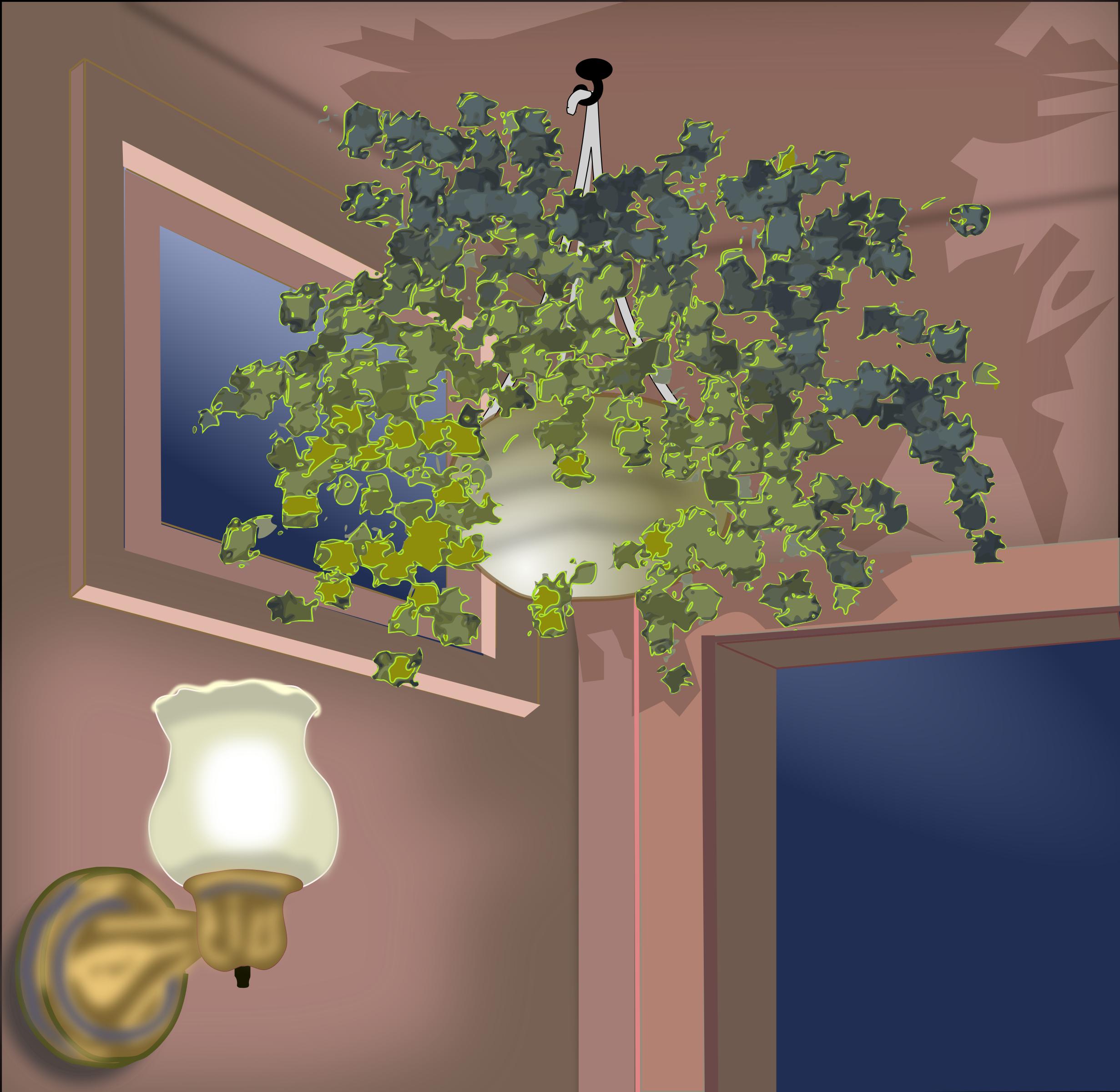 Hanging Plant png