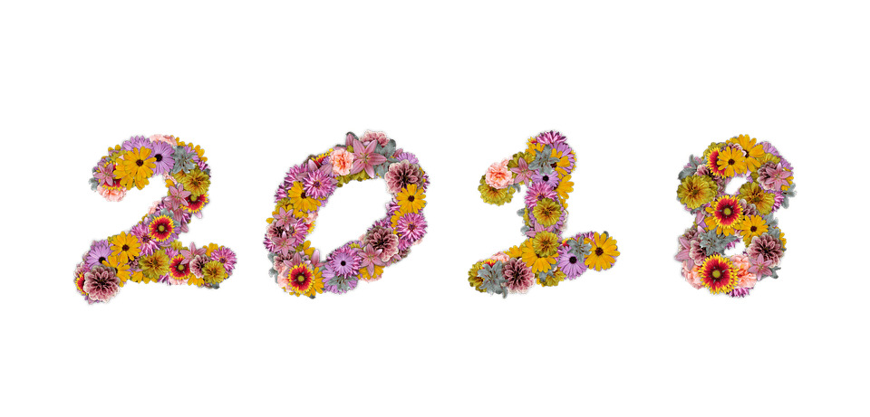 Happy New Year 2018 Flowers icons