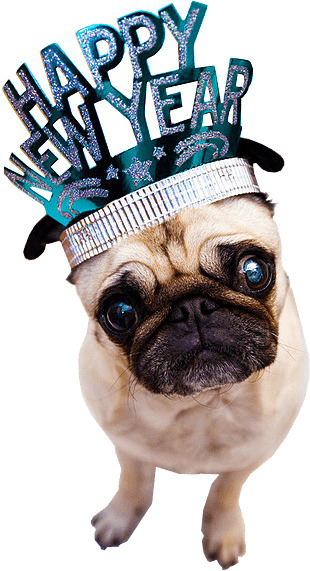 Happy New Year Dog icons