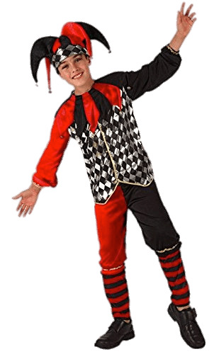 Harlequin Costume For Kids png icons