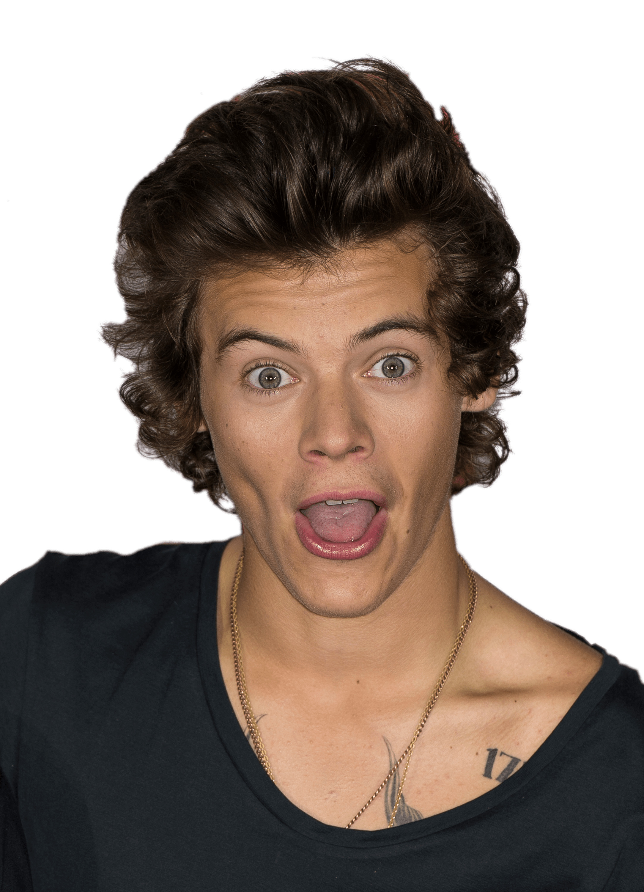 Harry Styles Funny Face png