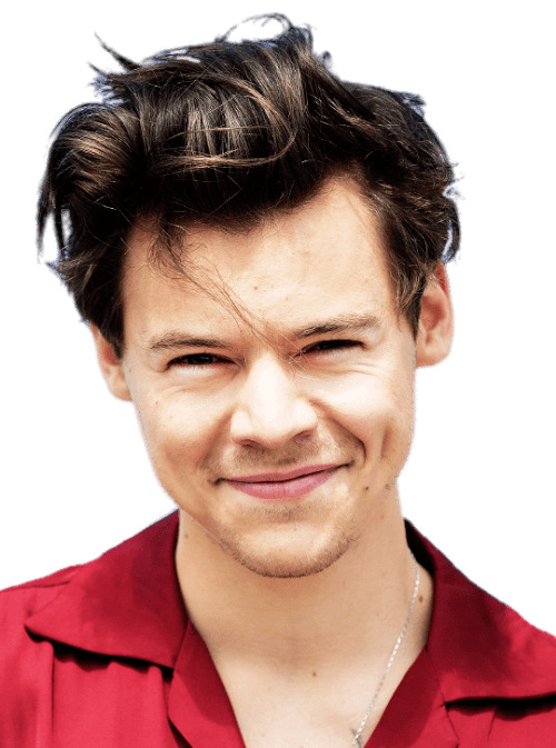 Harry Styles Red Shirt png icons