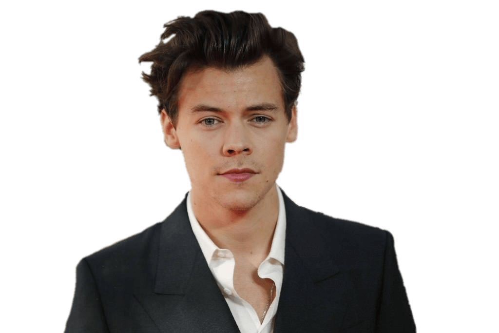 Harry Styles PNG icons