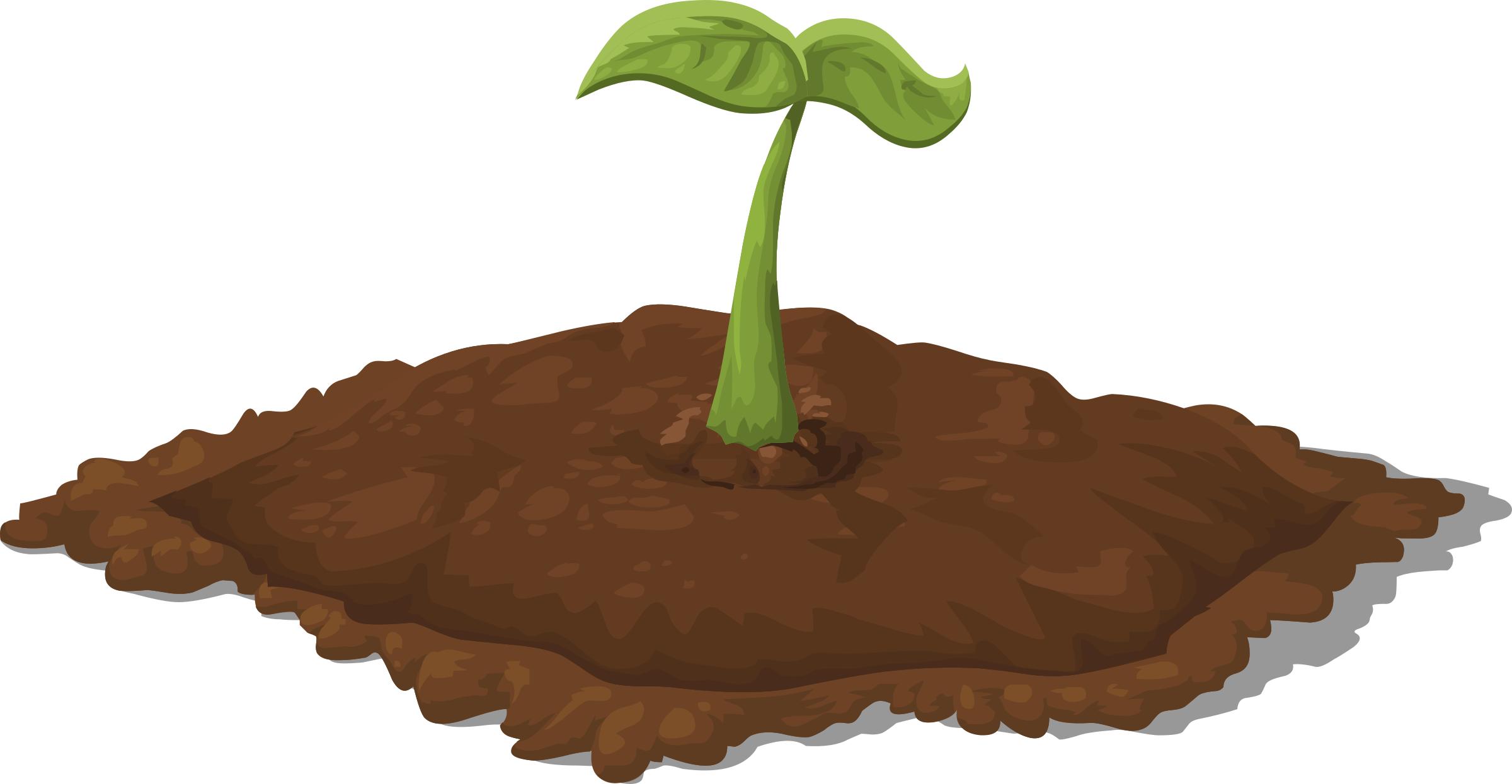 Harvestable Resources Patch Seedling png