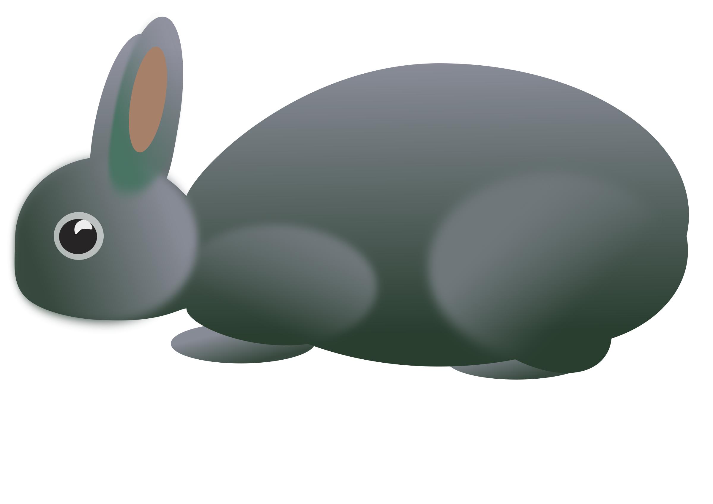 Hase-9569 png