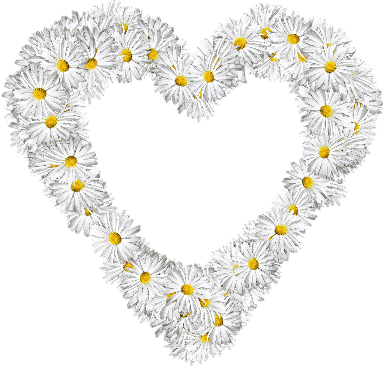 Heart Made Of Marguerites icons