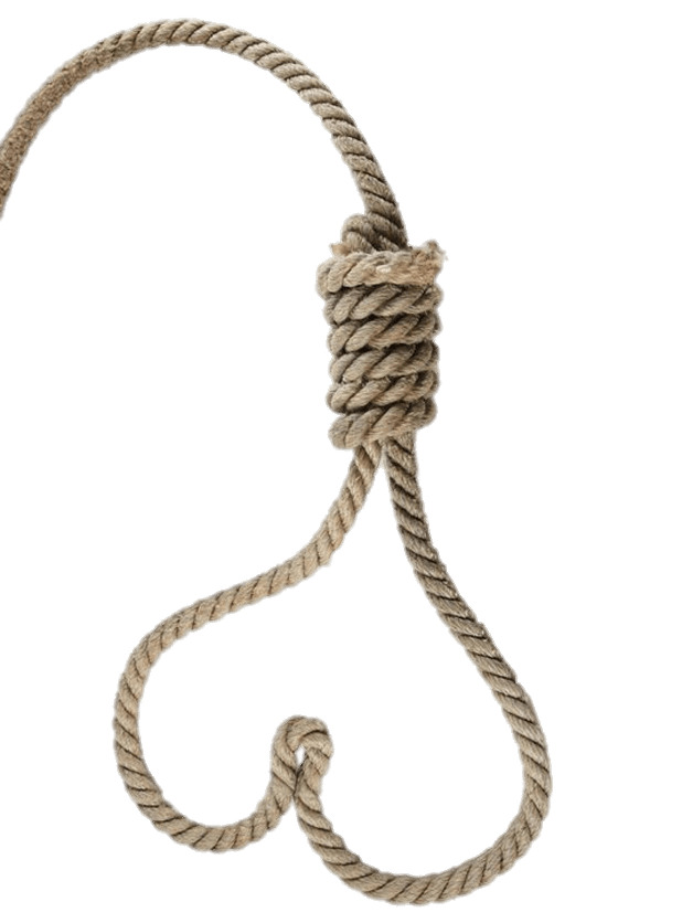 Heart Shaped Noose png