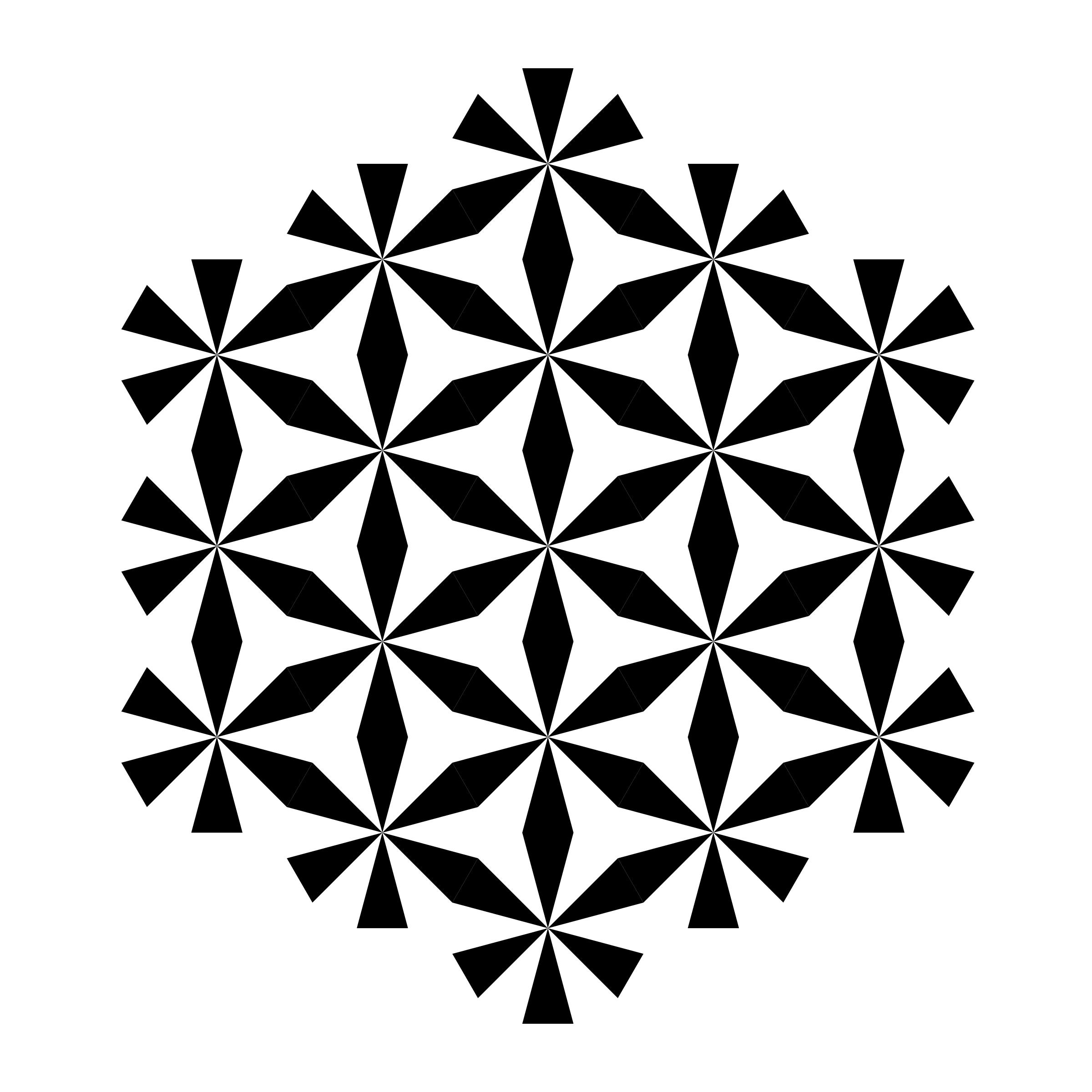 hexagonal star of zebra dodecagon png