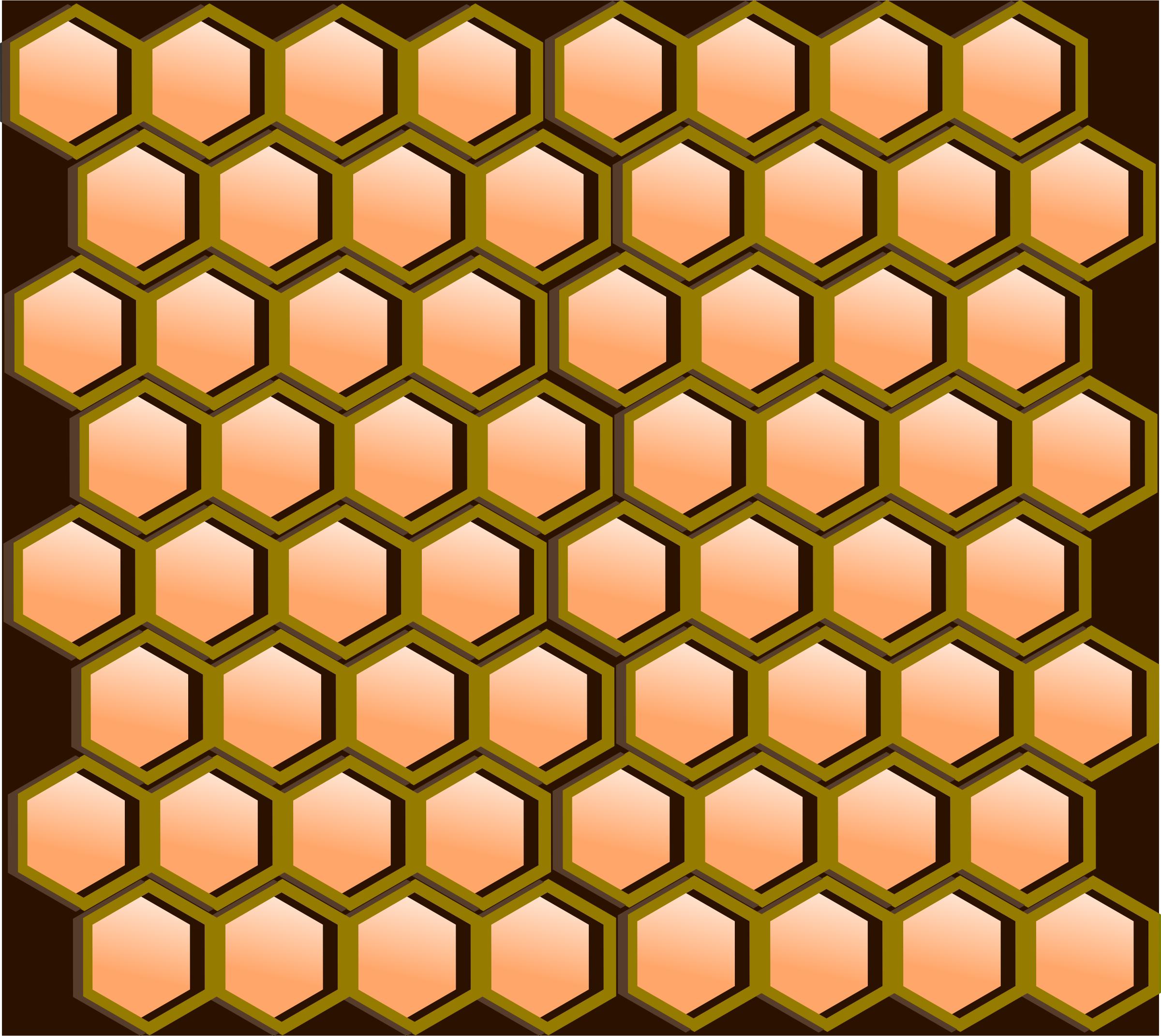 Honeycomb Cells png