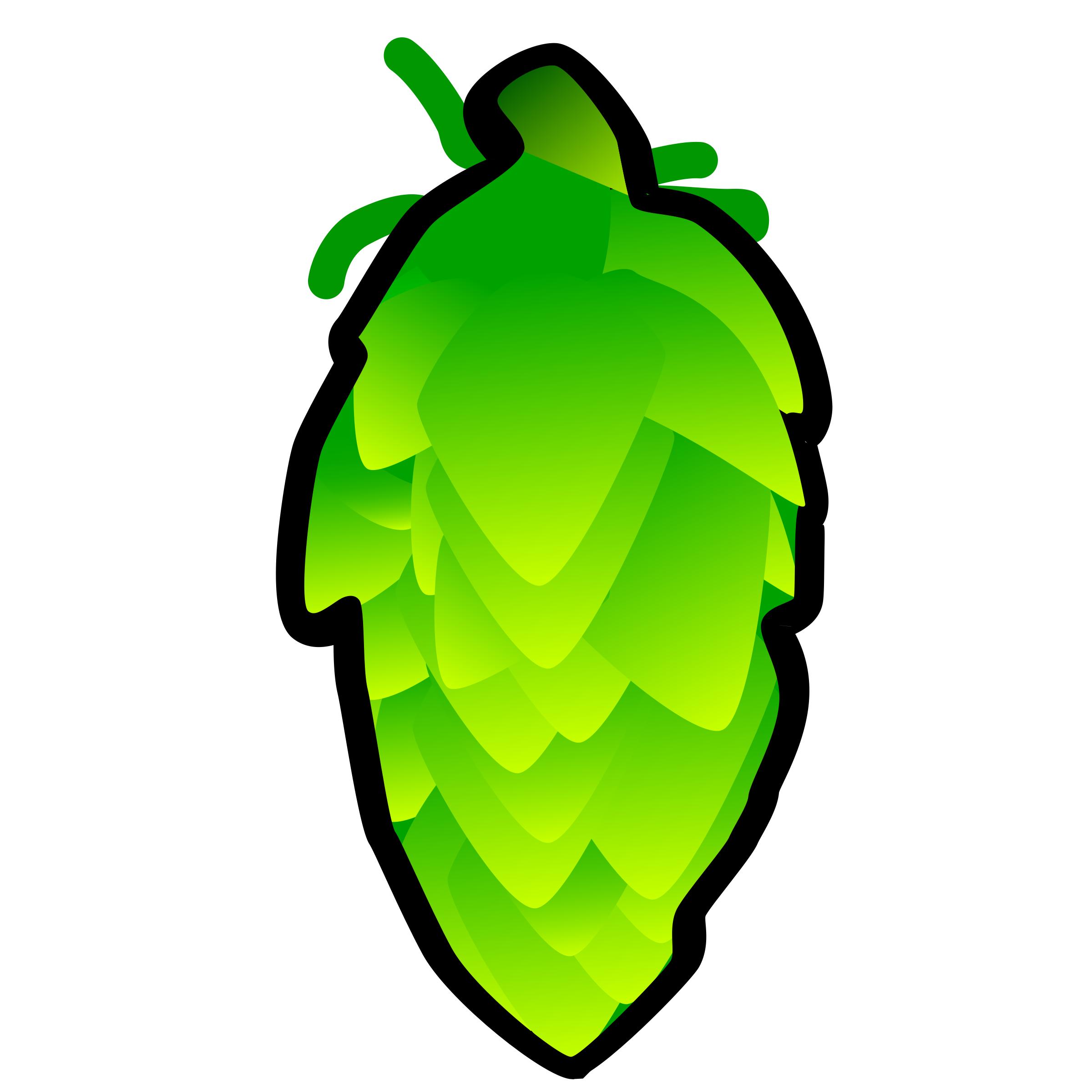 Hop Cone Illustration PNG icons