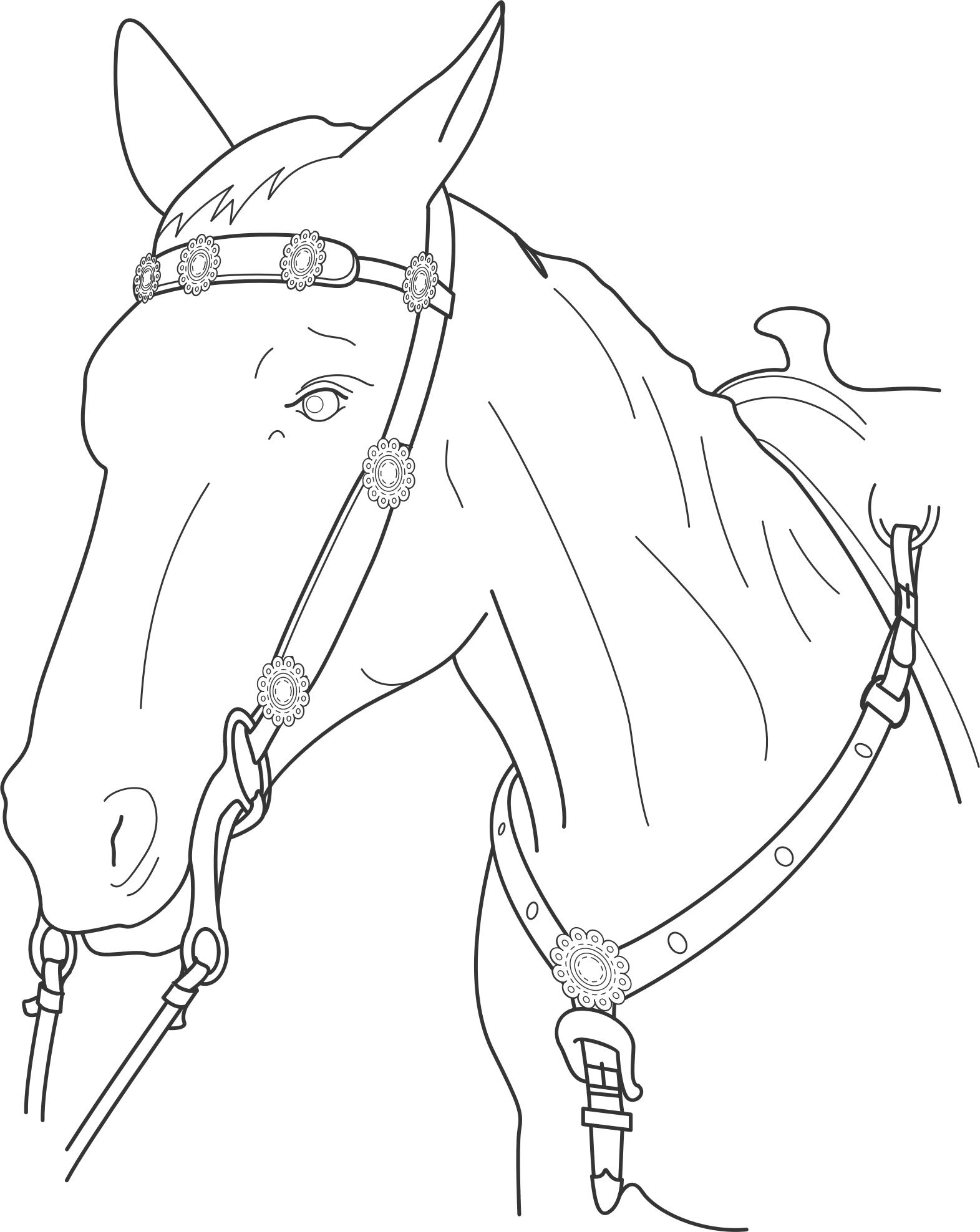 Horse Chest Plate png